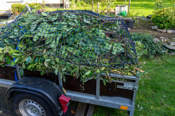 Best Furniture Removal  in Bellevue, ID